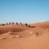 Marrakech to Fes Desert Tours